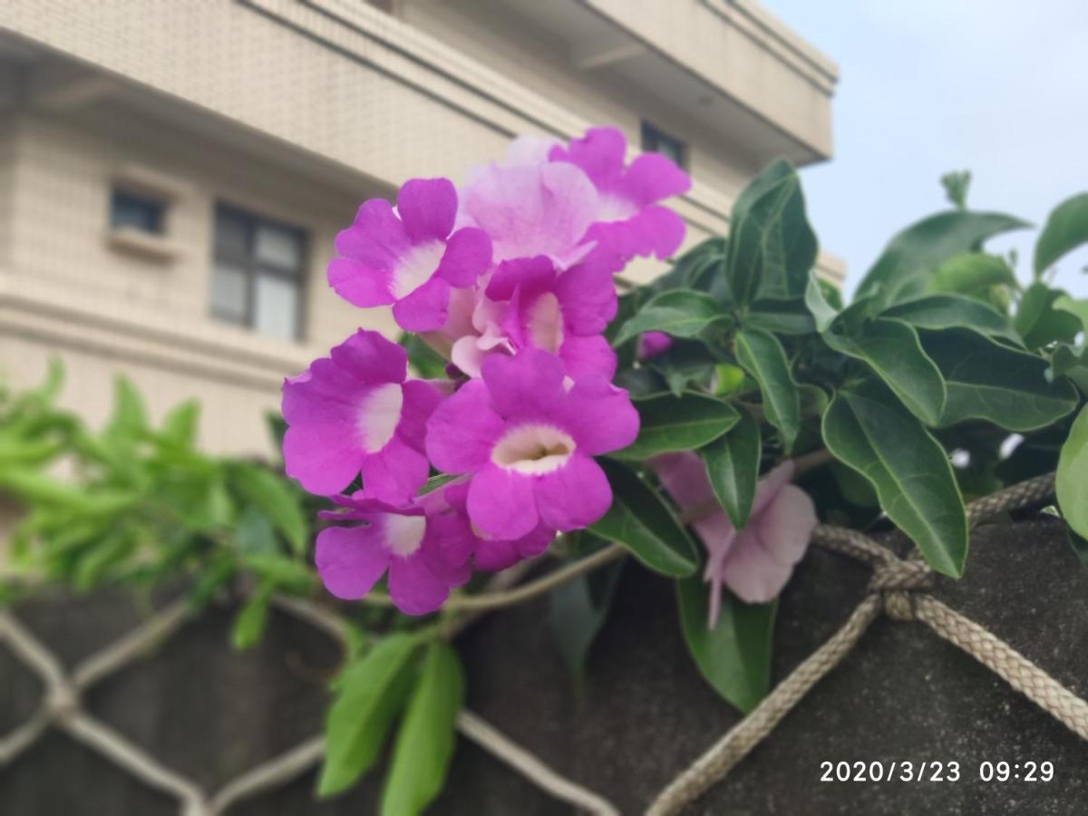 嘉義泊岸居民宿 Lucao 外观 照片